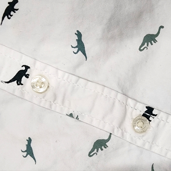 🦖 H&M 3T-4T boys button-up dinosaur shirt and green pants - Picture 6 of 10